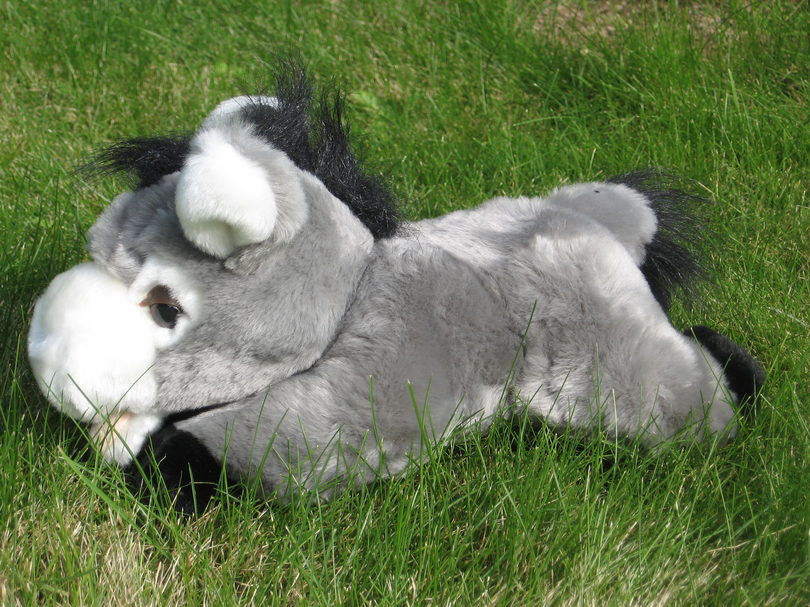 Peluche « Ane allongé » - Autour de l'âne