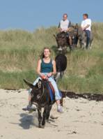 Promenade à la plage avec les ânes sellés