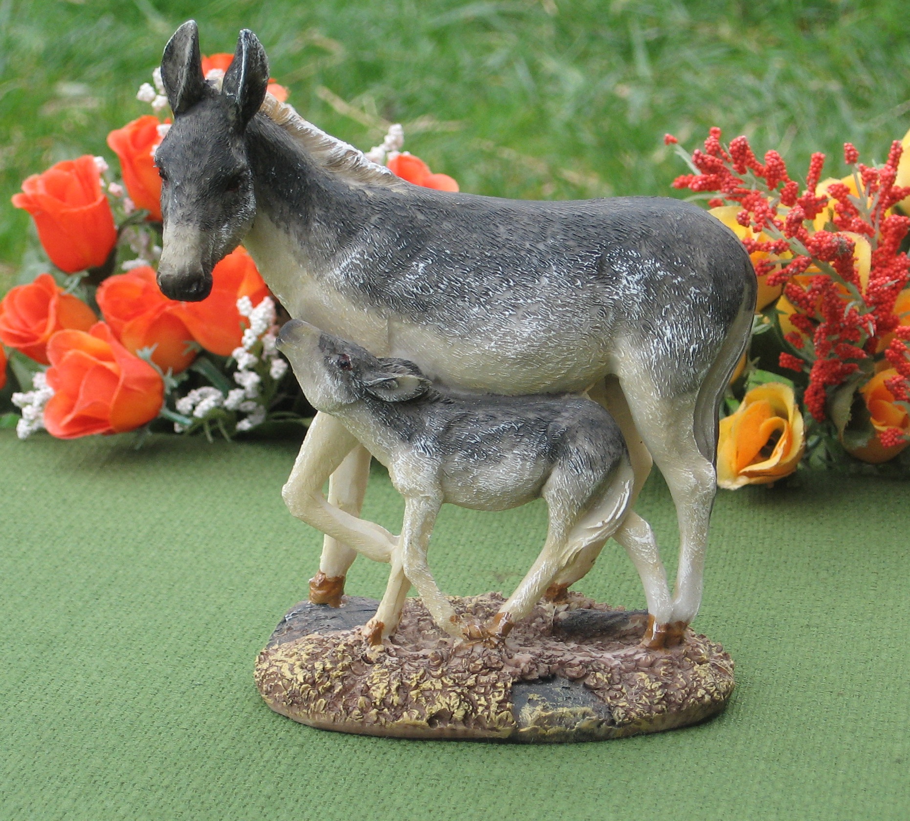 Anesse et anon Autour de l'âne