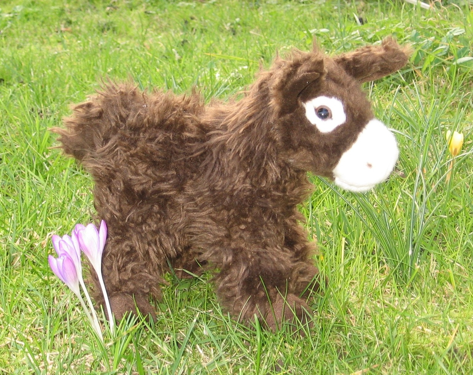 Peluche « Âne du Poitou »