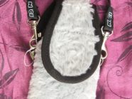 Âne pochette téléphone