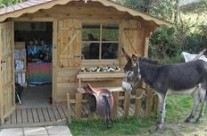 Cabane des ânes et Boutique