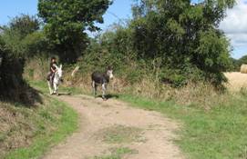 Randonnée sur le chemin