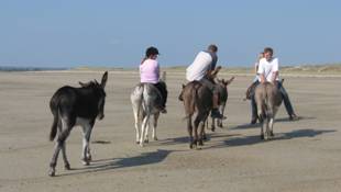 Randonnée au bord de la mer