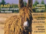 Cahiers ane 11