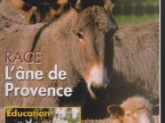 Cahiers de l'âne 2