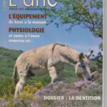 Les Cahiers de l'âne 27