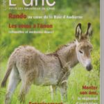 Les Cahiers de l'âne n°28
