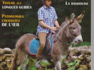 Les Cahiers de l'âne n°30