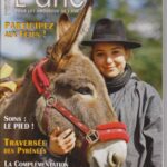 Les Cahiers de l'âne n°31