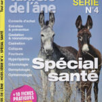 Cahiers ane HS4 santé