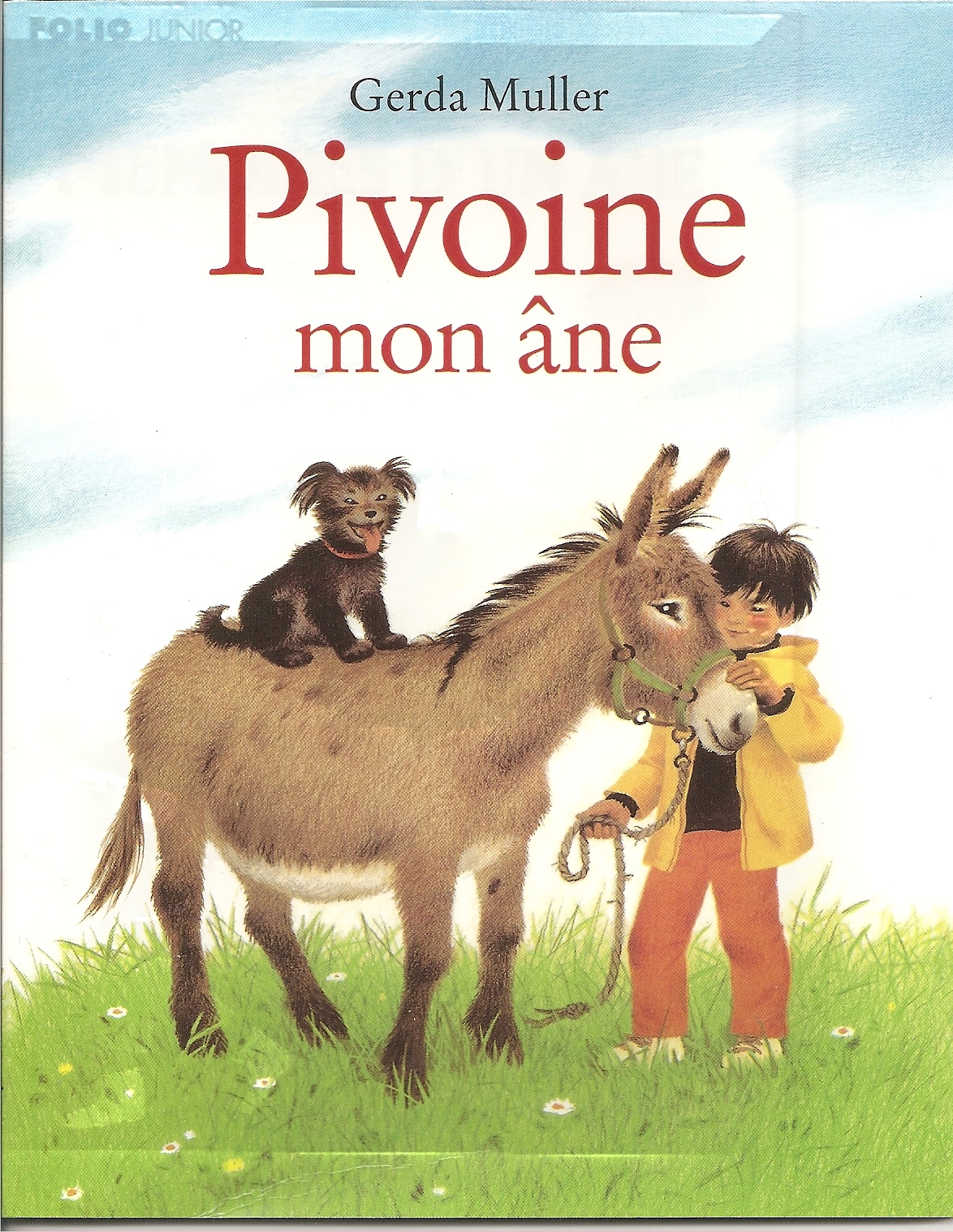 Pivoine Mon Ane Livre Jeunesse Pivoine Mon Ane Livre Jeunesse