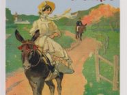 Livre Ane - Bougres d'ânes
