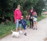 Promenade ane